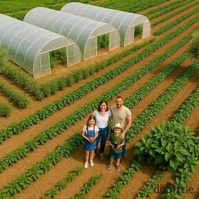 مزرعه للبيع5 فدان مسجلة وبها جميع المرافق
