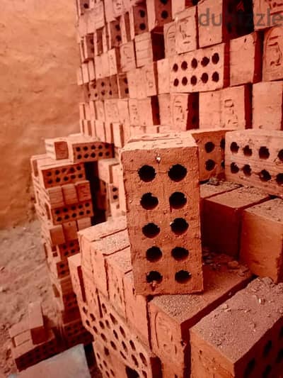 شركه النور