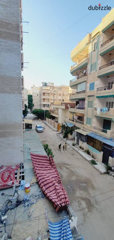 شقه للبيع بالإسكندرية العجمي شطي النخيل ٦اكتوبر الكيلو ٢١ اسكندرية