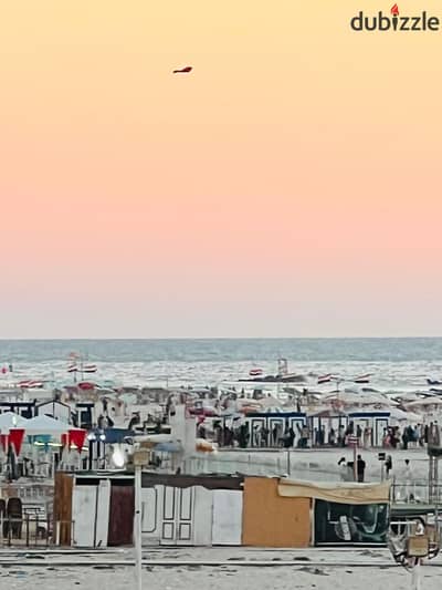 شقه للبيع بالإسكندرية العجمي شطي النخيل ٦اكتوبر الكيلو ٢١  اسكندرية مطروح