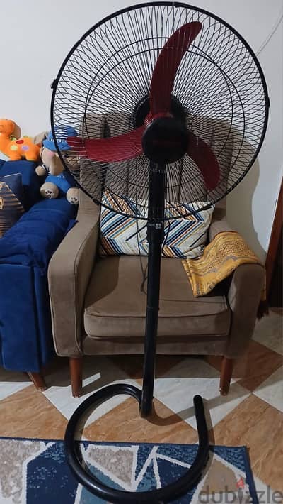 مرواح فريش للبيع