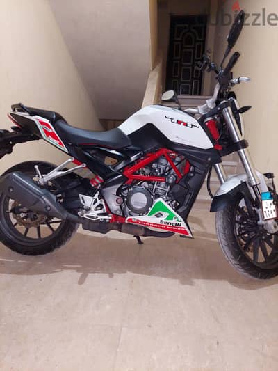 white benelli tnt