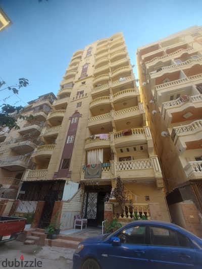 شقه للبيع بالإسكندرية العجمي شطي النخيل ٦اكتوبر الكيلو ٢١ اسكندرية مطروح