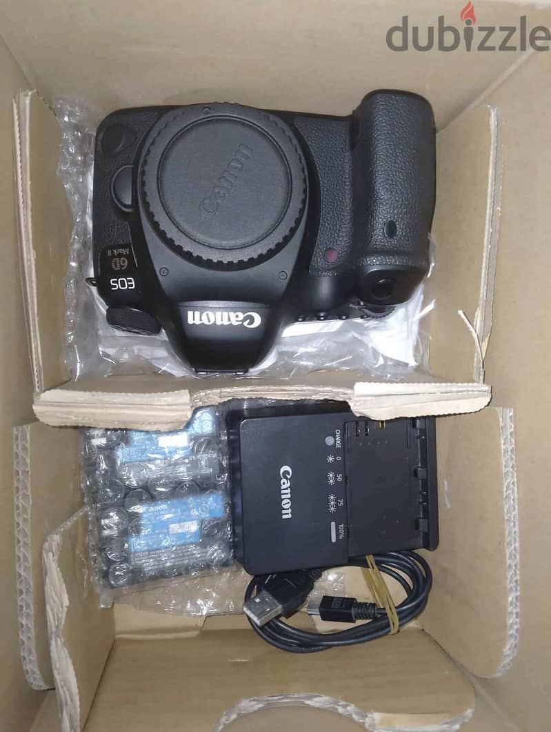 Canon 6d ii 4