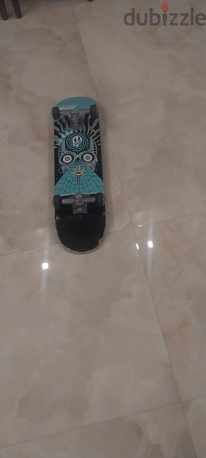 skateboard 1