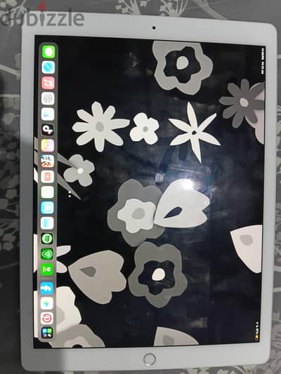 iPad pro generation 2 (12.9 inch)