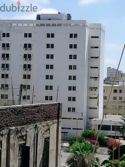 شقه للايجار شارع شامليون امام المجمع الطبى مباشرة