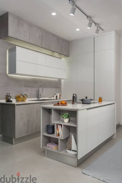 Modern imported Laminated wood kitchen