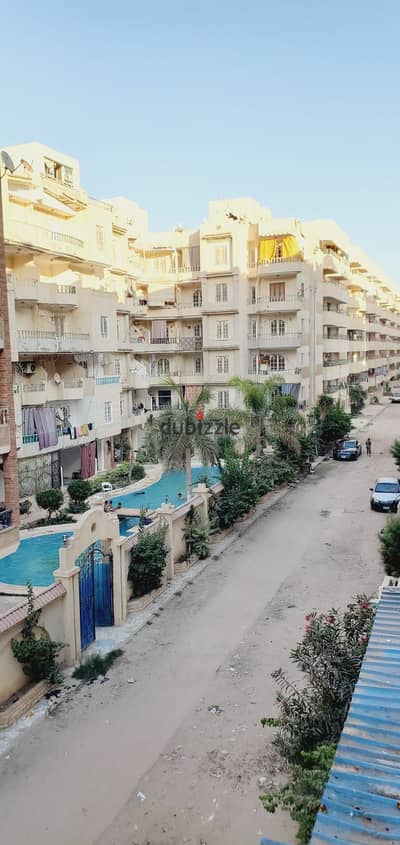 شقه للبيع بالإسكندرية العجمي شطي النخيل ٦اكتوبر الكيلو ٢١ اسكندرية مطروح