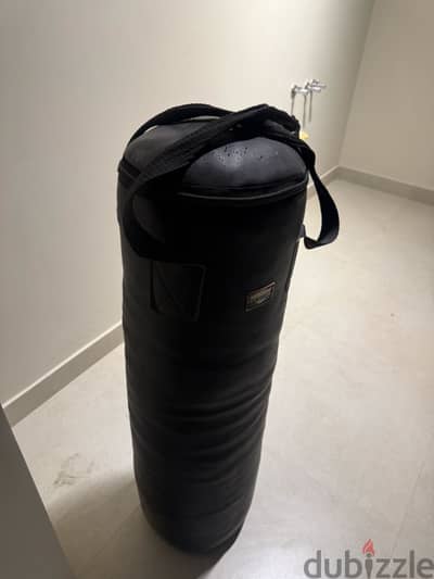 Boxing/Punching bag