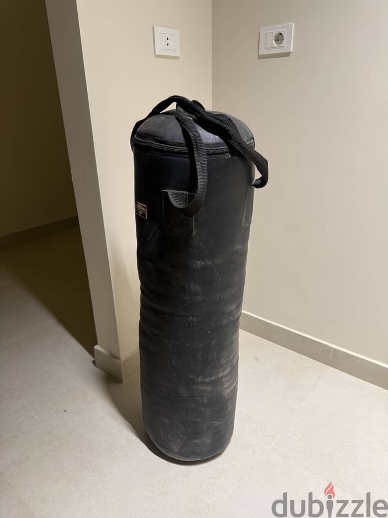 Boxing/Punching bag 2