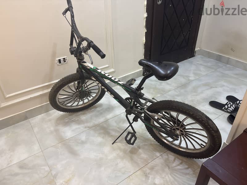Zoom bicycle 1