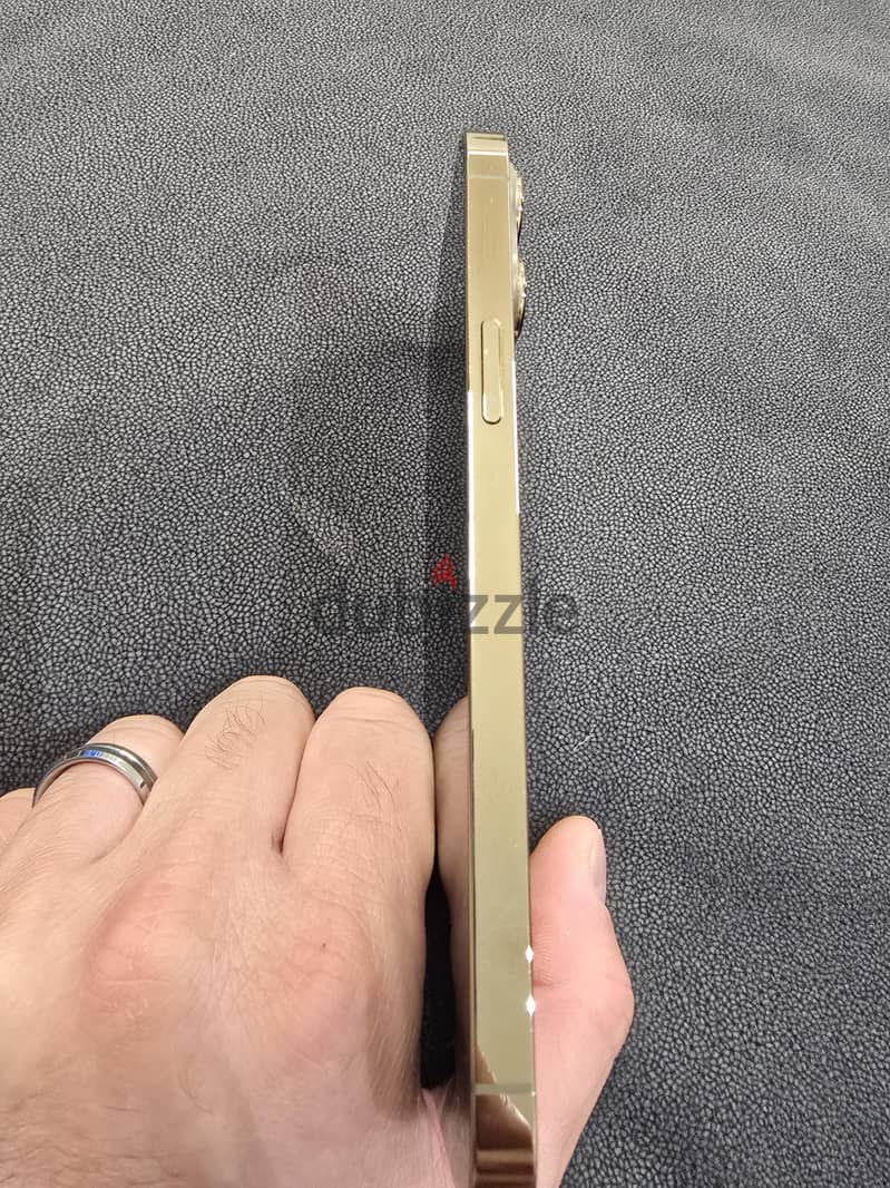 Apple - iPhone 13 Pro Max 2
