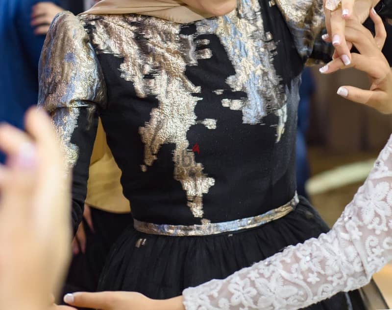 Evening dress 2