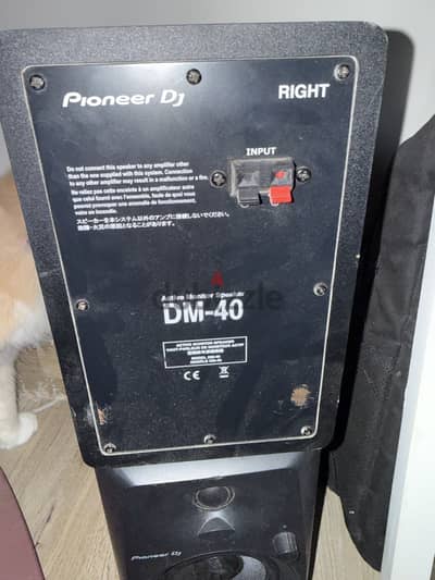 2 Pioneer speakers DM-40
