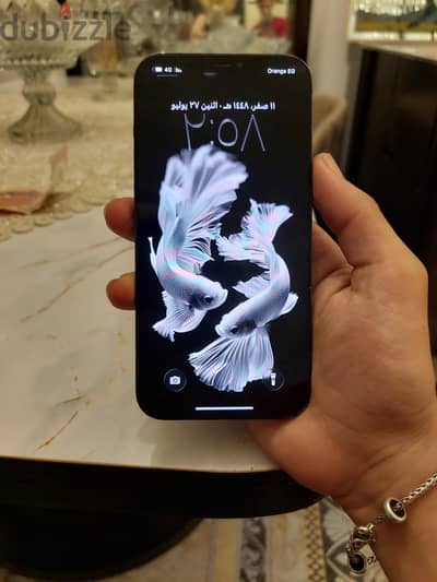 آبل - آيفون 12 برو ماكس