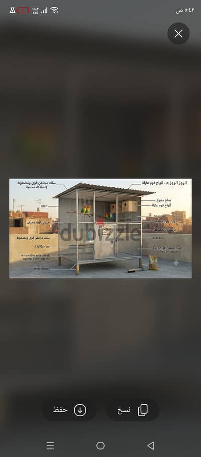 مطلوب جوز روز اخضر ب ٥٠٠ جنيه كحد اقصى انشاء الله