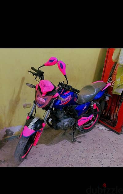 benelli clask
