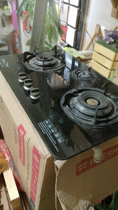 بلتي ان ياباني