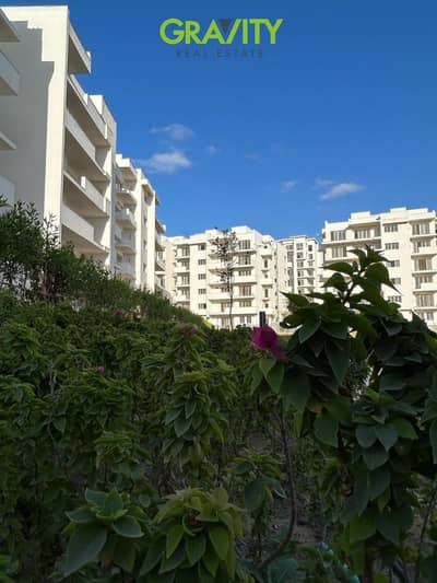 Receive your apartment immediately in New Alamein with the longest payment plan - Apartment for sale - New Alamein - North Coast