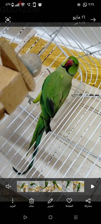 دره هندي