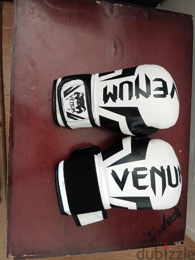 venum boxing gloves