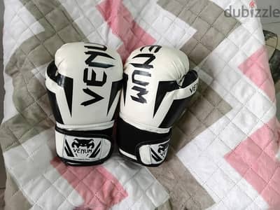 venum boxing  gloves