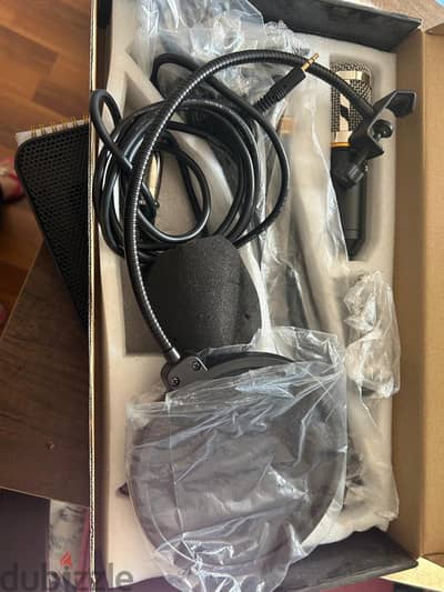 ZINGYOU BM-800 Condenser Microphone Bundle for Studio Recording & Broc