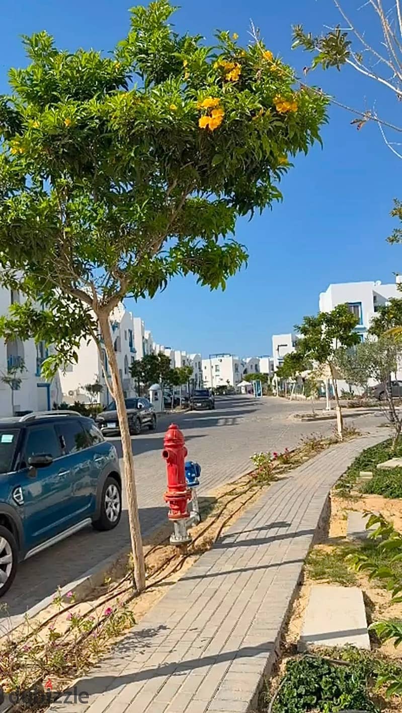 شاليه بغرفتي نوم في ماونتن فيو رأس الحكمة، صورة ٥ من ١١