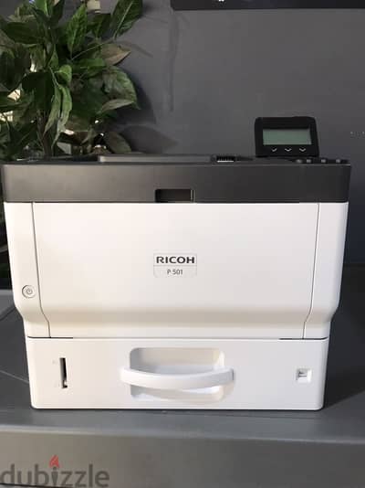 طابعه RICOH P501