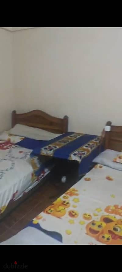 Luxurious furnished apartment for rent in the sixth district for employees and students