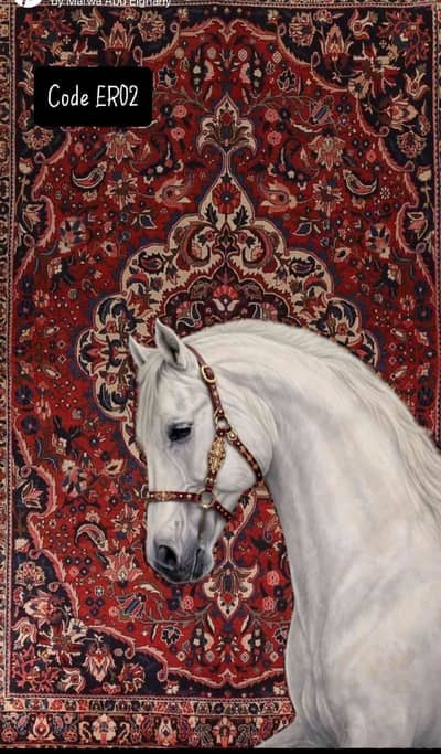 Abu Nawaf