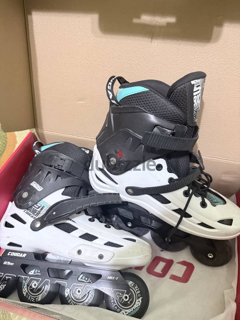 Skate couger 509 2