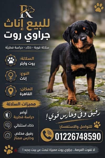 نتايه روت وايلر ٣٥ يوم