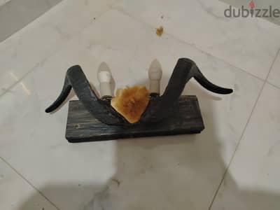 ابليكه ديكور قرون طبيعي