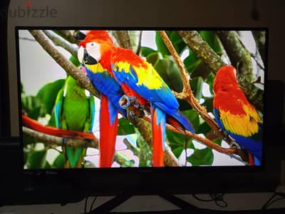 شاشة ViewSonic 27 بوصة 240Hz للبيع شاشة ViewSonic 27 بوصة 240Hz للبيع