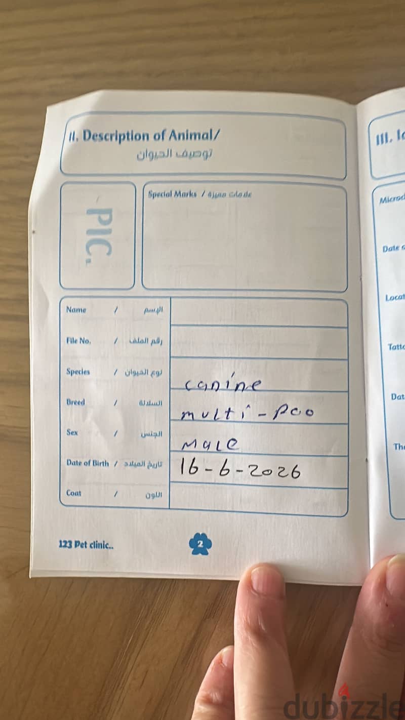 Multipoo dog 5