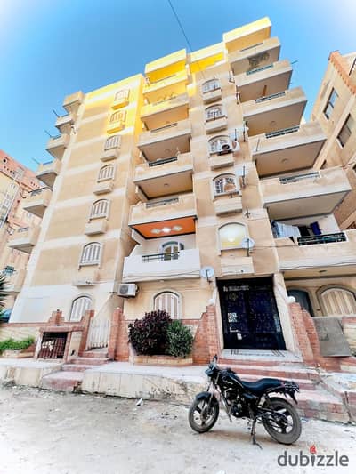 شقه للبيع بالإسكندرية العجمي شطي النخيل ٦اكتوبر الكيلو ٢١ اسكندرية مطروح