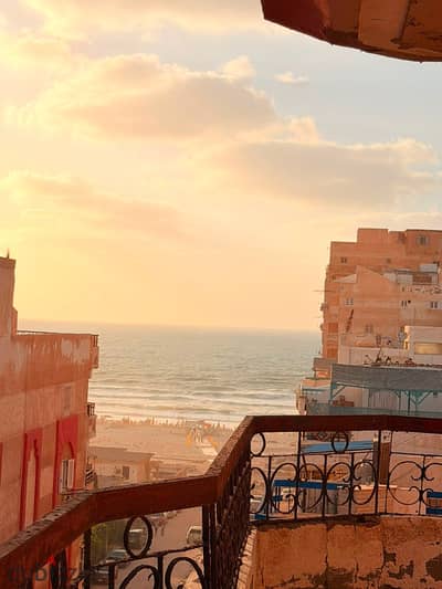 شقه للبيع بالإسكندرية العجمي شطي النخيل ٦اكتوبر ٢١ اسكندرية مطروح
