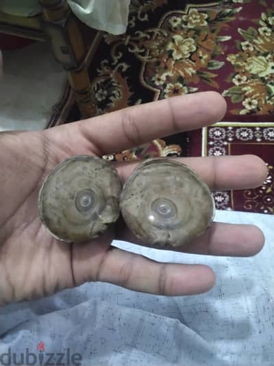 مش عارفه اسمه ولا سعره لاكن ممكن يكون مهم والسعر المكتوب مش سعره لاني