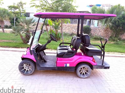 E-Car Golf Cart | 4 Seater | New 51.2V Lithium Battery | hacienda bay