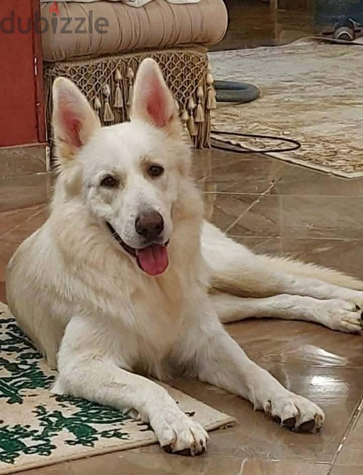 female white german 1
