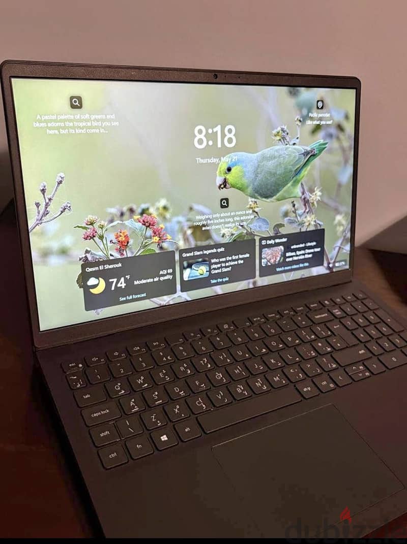 Dell vostro 3515 1