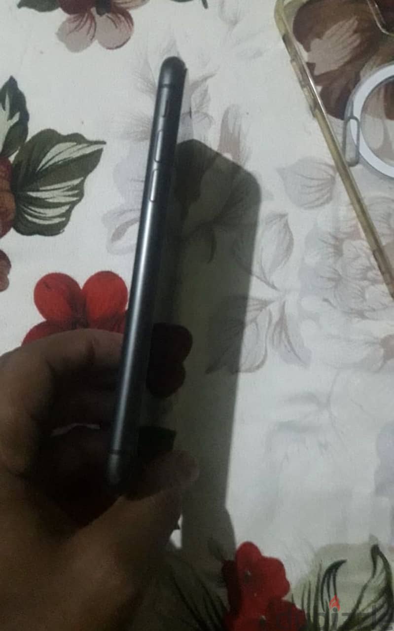 iPhone 11 3