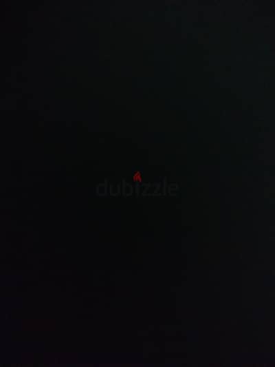 محتاج قطه بالإسكندرية للتبني