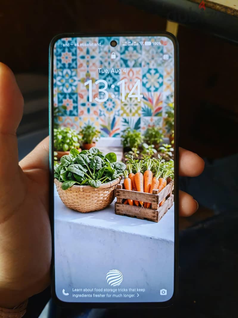 Vivo Other Model 1