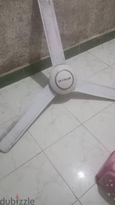 مروحتين سقف شغالين
