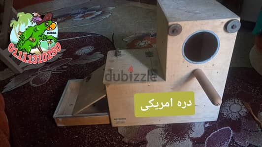 عش بغبغان دره هندى او امريكى او زنجبارى