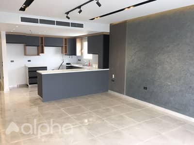 penthouse for rent Mountain view chill out October first use Kitchen & Ac's landscape view