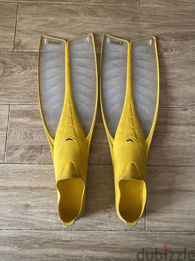 زعانف whale